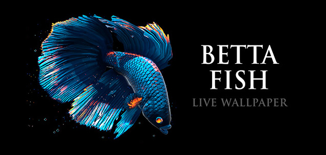 Betta Fish Live Wallpaper